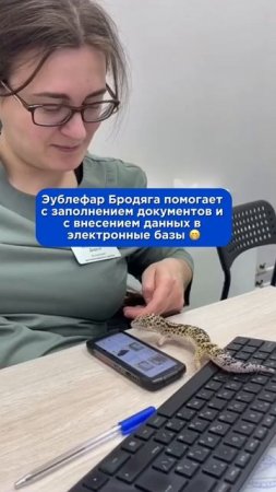 В нашей клинике даже у ассистентов есть свои помощники