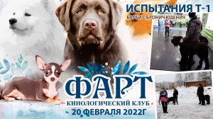 Тайрон сдает проверку на психику, 1 год и 3 месяца. Электрогорск