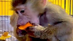 Меня НАКРЫЛИ ВОСПОМИНАНИЯ! Как Леокадия спасла Люсю и почему мне не нужно задава