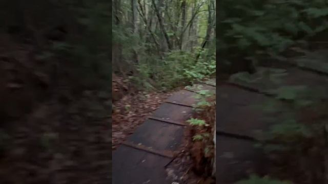 #Ленские_Столбы  #Lena_pillars #Yakutiya смотреть онлайн