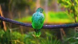 Кинематографический рай на Земле в формате 4K HDR Dolby Vision