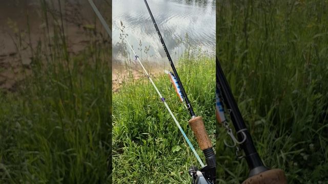 Открыл спиннинговый сезон после запрета. Мормышинг выручает. Воблеры молчат. Dayo prestige 800.