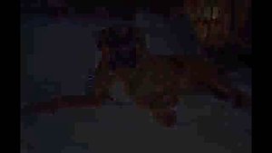 Жизнь до и после