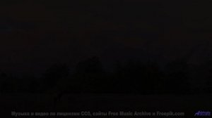 Здесь НИКОГДА не ступала нога человека! - cologne -- Tinmouth -- Surprise time