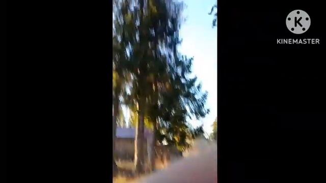 ЛОПАЮ КОРОБКУ ИЗ ПОД СОКА/ЭТО ЖЕСТЬ!!! смотреть онлайн