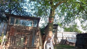 лёгкие трюки на скейте
