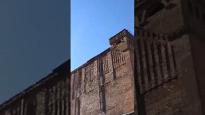 Тартарская постройка? 59,8961783, 30,3307729