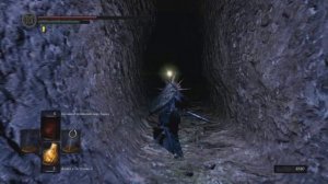 Dark Souls: Remastered. Путь из Ущелья в Королевский лес.