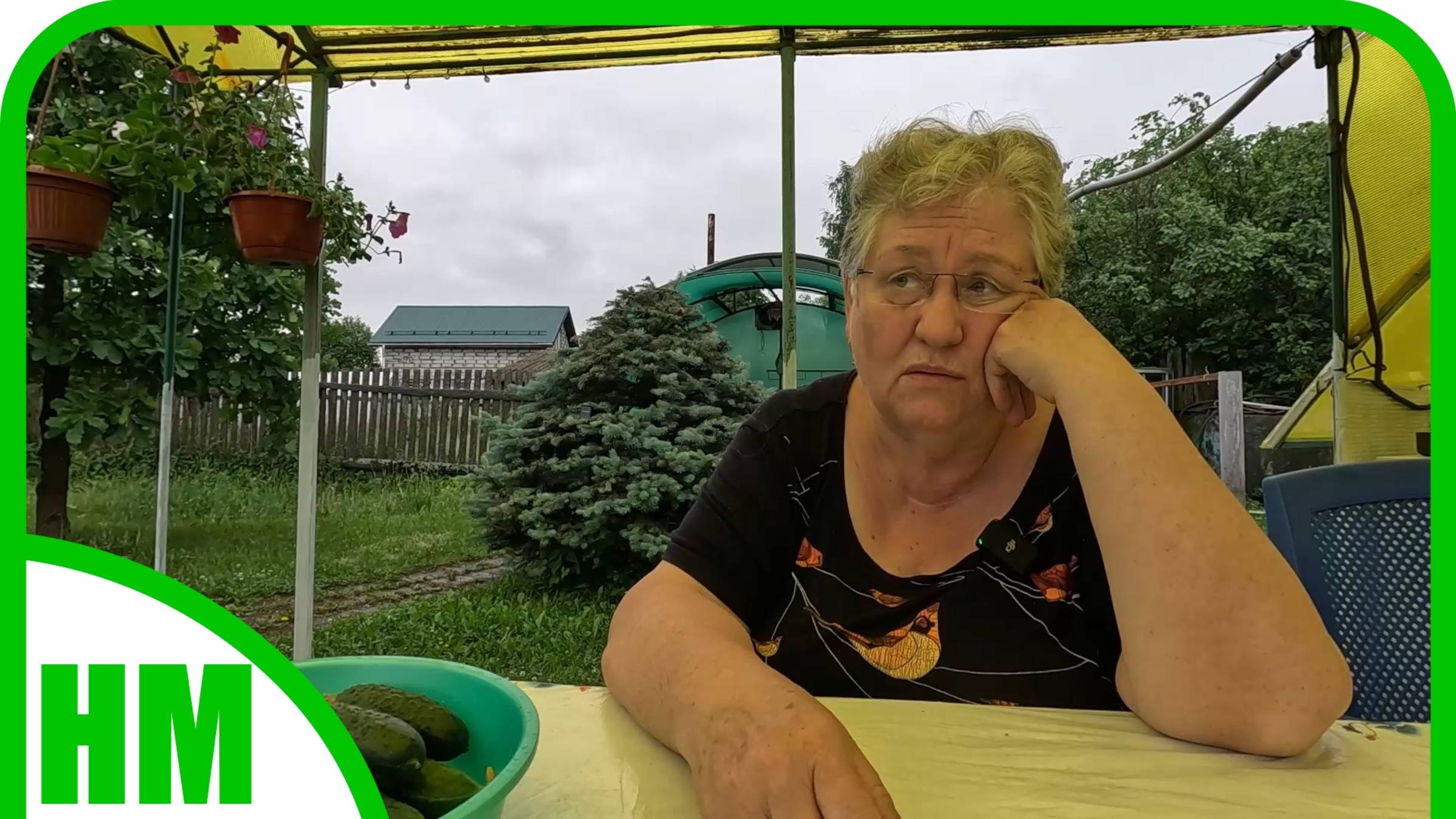 11 июня. Град всем сделал больно. Сбор урожая. Муж начал убирать деревья на участке.