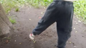 игра в миххотелок
