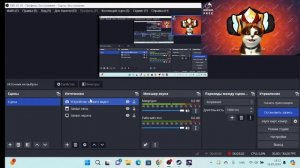 Как в OBS сделать веб-камеру на кота или на других