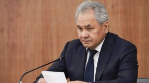 Шойгу назвал сохранение национальных ценностей архиважным вопросом для РФ