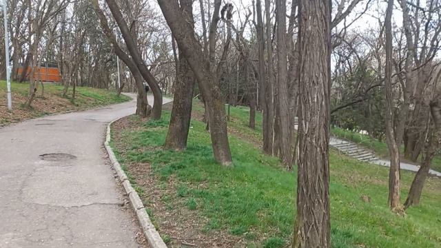 Ессентукский курортный парк. Март 2025г. смотреть онлайн