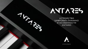Как устроено цифровое фортепиано Antares? Технические особенности и секреты