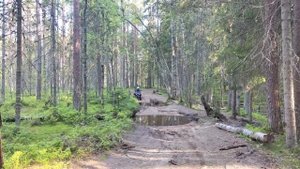 покатушки с папой