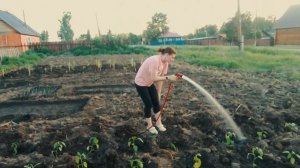 Вот же работенка досталась