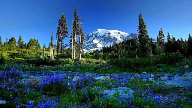 Сура 28) Al-Qasas смотреть онлайн