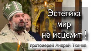 " Я полюбил страдания" - святитель Лука Крымский. Протоиерей Андрей Ткачёв