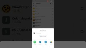 Как сделать приватку бравл Старс v29