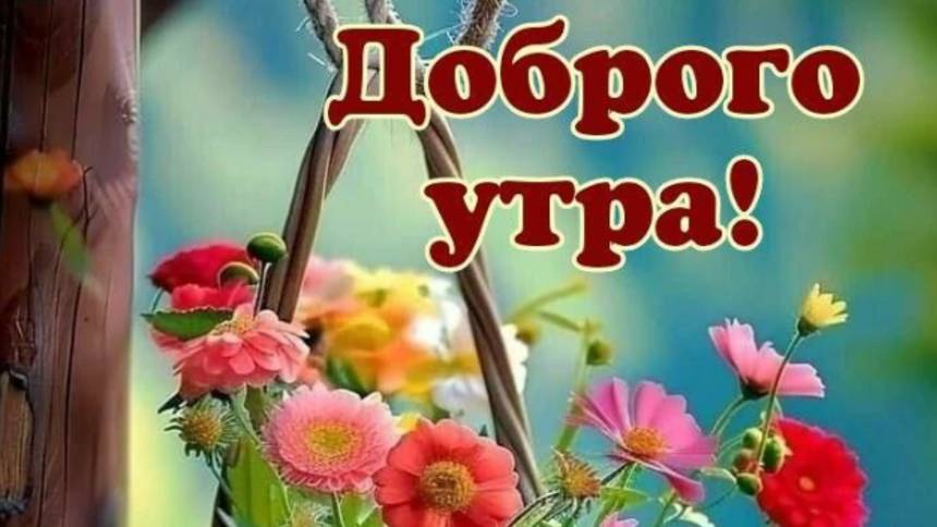 С Добрым утром, хорошим днем 🌞 #доброеутро #сдобрымутром