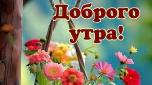 С Добрым утром, хорошим днем 🌞 #доброеутро #сдобрымутром