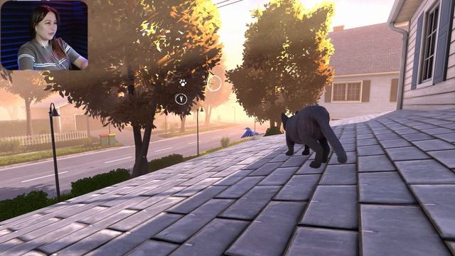 COPYCAT ПОЛНОЕ ПРОХОЖДЕНИЕ