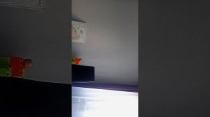 Вот что записал видеорегистратор в машине.