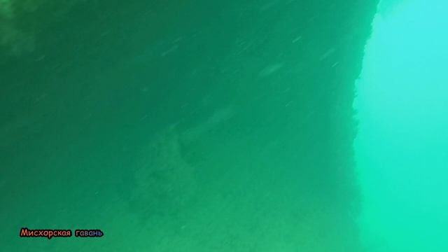 Крым дайвинг Кацивели пляж под радио телескопом, гора Кошка вид Симеиз 🍎 #searuss #мисхорскаягавань