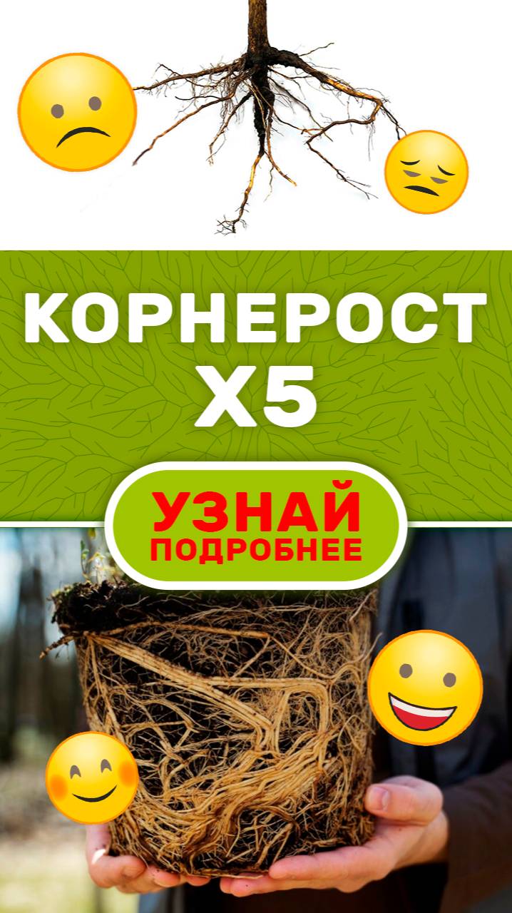 Рост корней | ОКСИДАТ ТОРФА с микроэлементами