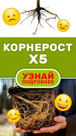 Рост корней | ОКСИДАТ ТОРФА с микроэлементами