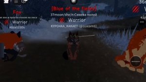 Как не быть Сью в игре коты-воители роблокс? Рассказал?