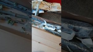 Спонтанная покупка на сайте ООО КСП.
