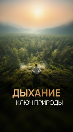 Дыхание - ключ природы