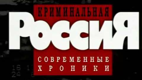 Магазин 364 дня. Современные хроники