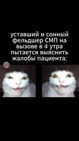 Подпишись