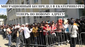 Миграционный беспредел в Екб по новому адресу | Фееричный проигрыш в суде Шахина Шыхлински | КРИК-ТВ