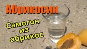 Абрикосин. Самогон из абрикосов