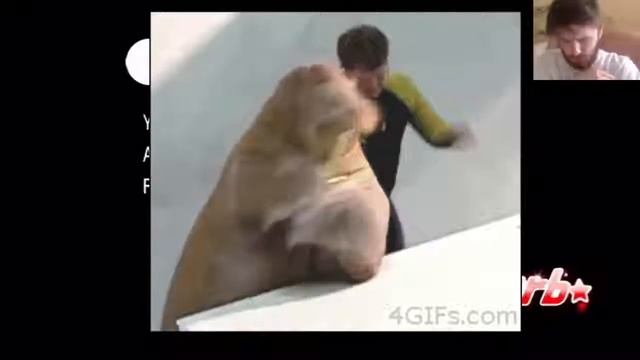 Rhythm Heaven Fever НАЖИМАЙ ПОД РИТМ ПОКА МОЛОДОЙ смотреть онлайн