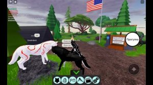 Играю в Roblox Жизнь Животных.  ЛАПКА нашла стаю!!!