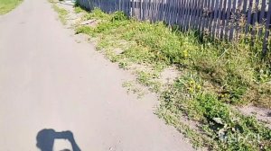СП "ДОБИВАЮ НЕДОВЯЗЫ-4/2025." отчёт #22.