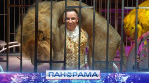 🎪 Арена Донецкого цирка отдана стихии воды: 20-метровые фонтаны в премьере программы «Принц цирка»