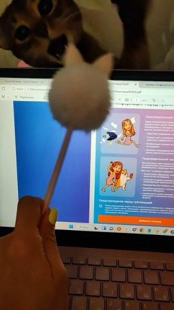 Живая реклама cotinder😁