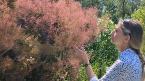 Ботанический сад Самара