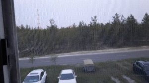 АТАКУЮТ КОМАРЫ