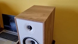 Акустическая система Triangle Borea BR03