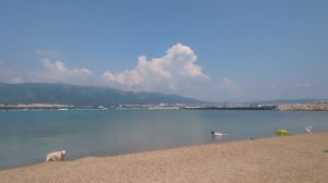 Геленджик 11 июня 2025 г. Тонкий мыс. Улица Пограничная и Сипягина.mp4