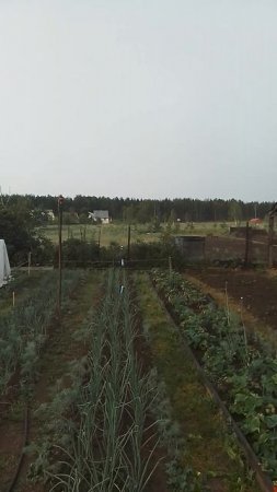 11 июня 2025 года.