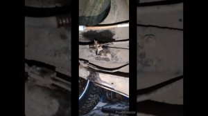 Замена тормозной трубки заднего правого колеса, хонда