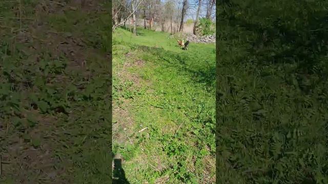 у каждого своя истина, это моя правда смотреть онлайн