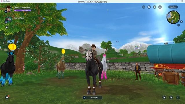 Star stable Их скоро удалят
